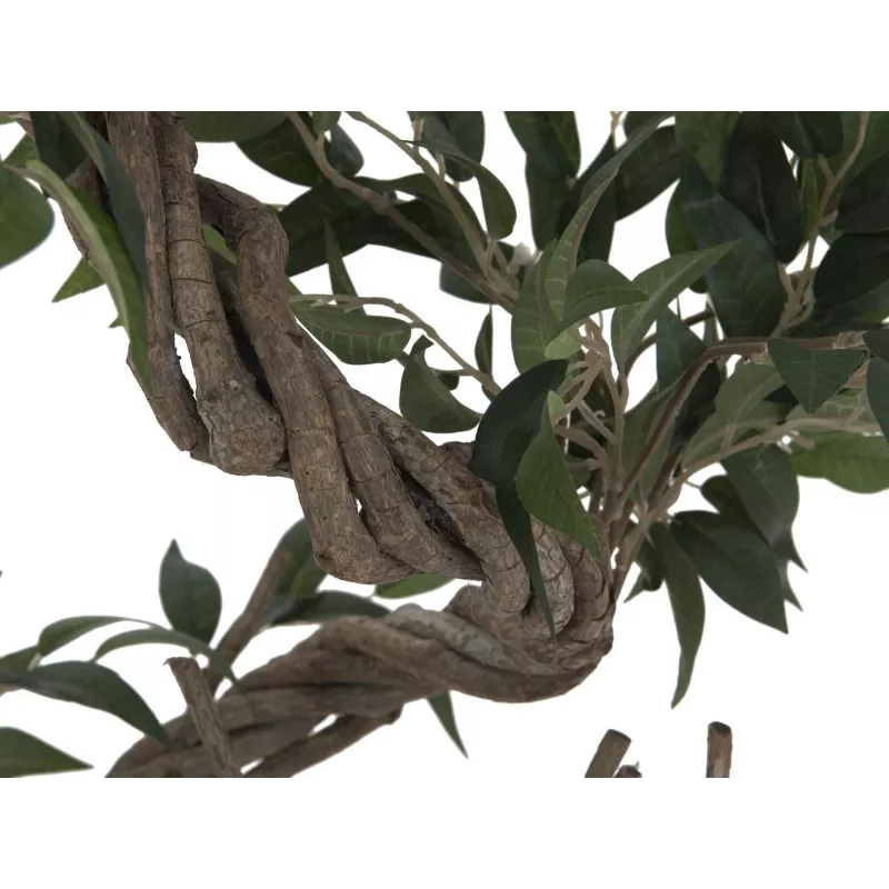 EUROPALMS Τεχνητό φυτό Ficus Multi Spiral Trunk, 130cm 82806314