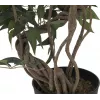 EUROPALMS Τεχνητό φυτό Ficus Multi Spiral Trunk, 130cm 82806314