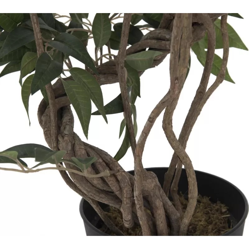EUROPALMS Τεχνητό φυτό Ficus Multi Spiral Trunk, 130cm 82806314