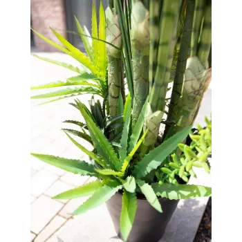 EUROPALMS Τεχνητό φυτό μείγμα παχύφυτων, 190cm 82600035
