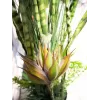 EUROPALMS Τεχνητό φυτό μείγμα παχύφυτων, 190cm 82600035