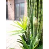EUROPALMS Τεχνητό φυτό μείγμα παχύφυτων, 190cm 82600035