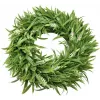 EUROPALMS Στεφάνι λεβάντας, 30cm (83500504)