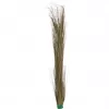EUROPALMS Τεχνητό καλάμι, χακί, 127 cm 82505853