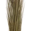 EUROPALMS Τεχνητό καλάμι, χακί, 127 cm 82505853