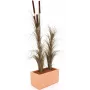 EUROPALMS Τεχνητό καλάμι με στάχυα, σκούρο καφέ, 152cm 82505857