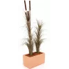 EUROPALMS Τεχνητό καλάμι με στάχυα, σκούρο καφέ, 152cm 82505857