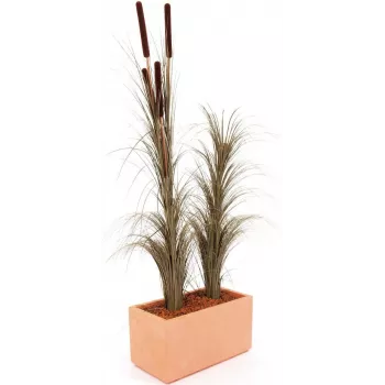 EUROPALMS Τεχνητό καλάμι με στάχυα, σκούρο καφέ, 152cm 82505857