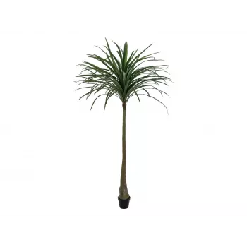 EUROPALMS τεχνητό φυτό Dracena, πράσινο, 220cm 82505798