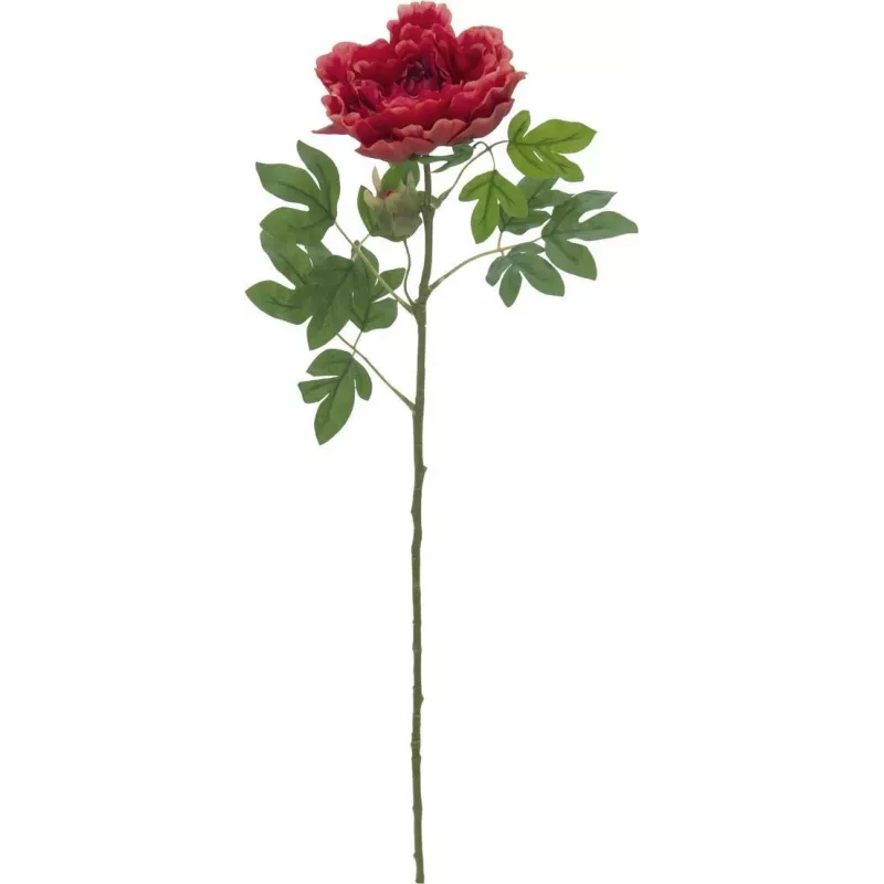 EUROPALMS Classic Peony Branch τεχνητό φυτό, ματζέντα, 80cm 82530211