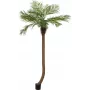 EUROPALMS Luxor καμπύλη τεχνητή φοίνικας Phoenix, 240cm 82510726