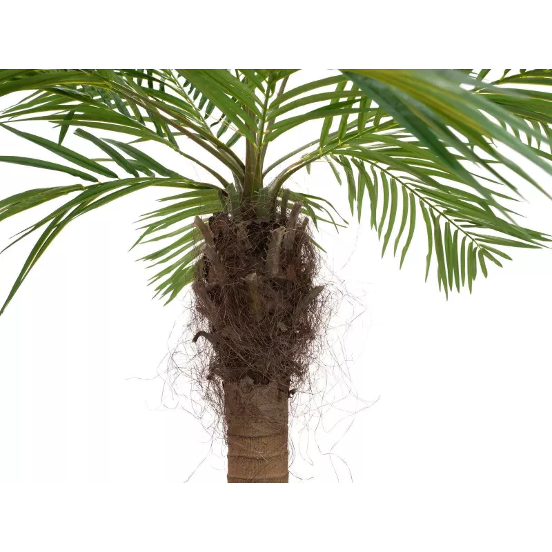 EUROPALMS Luxor καμπύλη τεχνητή φοίνικας Phoenix, 240cm 82510726