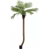 EUROPALMS Luxor καμπύλη τεχνητή φοίνικας Phoenix, 240cm 82510726