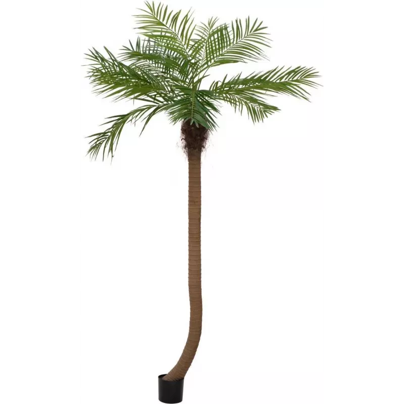 EUROPALMS Luxor καμπύλη τεχνητή φοίνικας Phoenix, 240cm 82510726