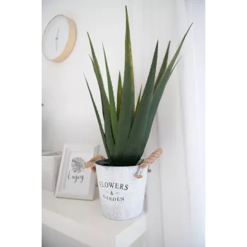 EUROPALMS τεχνητό φυτό αλόη βέρα, 60 cm, μαύρη γλάστρα 82600167