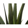 EUROPALMS τεχνητό φυτό αλόη βέρα, 60 cm, μαύρη γλάστρα 82600167