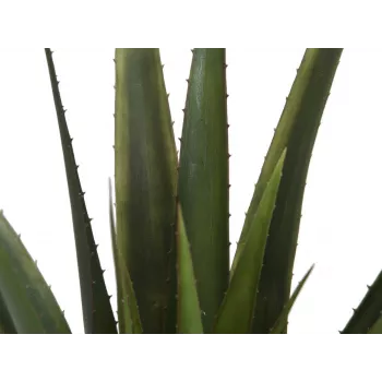 EUROPALMS τεχνητό φυτό αλόη βέρα, 60 cm, μαύρη γλάστρα 82600167