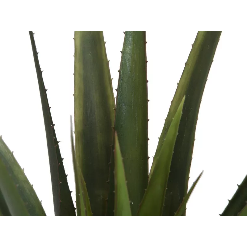 EUROPALMS τεχνητό φυτό αλόη βέρα, 60 cm, μαύρη γλάστρα 82600167