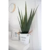 EUROPALMS τεχνητό φυτό αλόη βέρα, 60 cm, μαύρη γλάστρα 82600167
