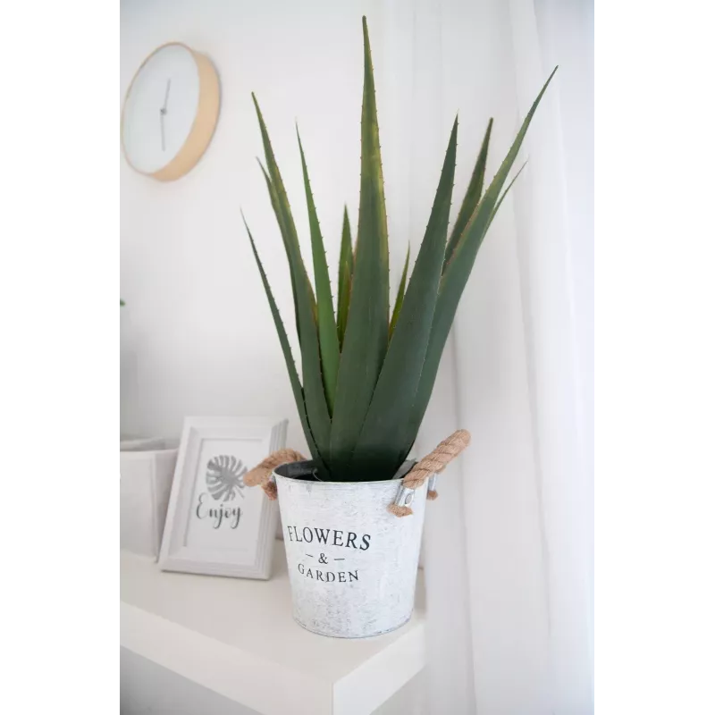 EUROPALMS τεχνητό φυτό αλόη βέρα, 60 cm, μαύρη γλάστρα 82600167