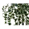 EUROPALMS Holland Ivy Hedge Screen Classic, τεχνητό, 60cm 82502210