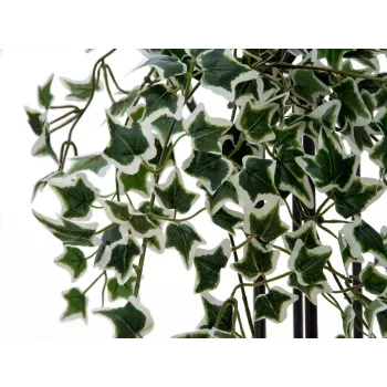 EUROPALMS Holland Ivy Hedge Screen Classic, τεχνητό, 60cm 82502210