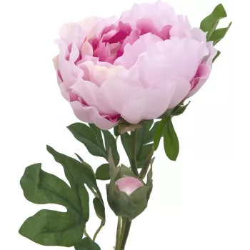 EUROPALMS Peony Branch Classic, τεχνητό φυτό, ροζ, 80cm 82530210