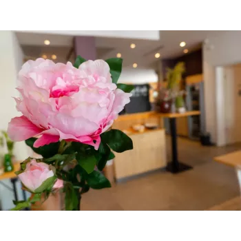 EUROPALMS Peony Branch Classic, τεχνητό φυτό, ροζ, 80cm 82530210