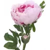 EUROPALMS Peony Branch Classic, τεχνητό φυτό, ροζ, 80cm 82530210