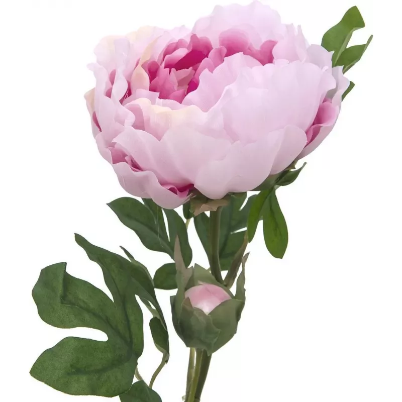 EUROPALMS Peony Branch Classic, τεχνητό φυτό, ροζ, 80cm 82530210