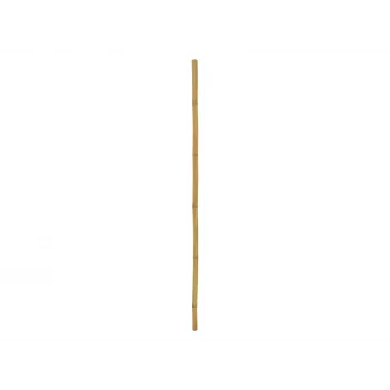 EUROPALMS μπαμπού ράβδος, Ø 5 cm, 200 cm 83313201