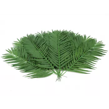 EUROPALMS φύλλα καρύδας, τεχνητά, 110cm, συσκευασία 12 τεμ. 82509897