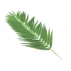 EUROPALMS φύλλα καρύδας, τεχνητά, 110cm, συσκευασία 12 τεμ. 82509897
