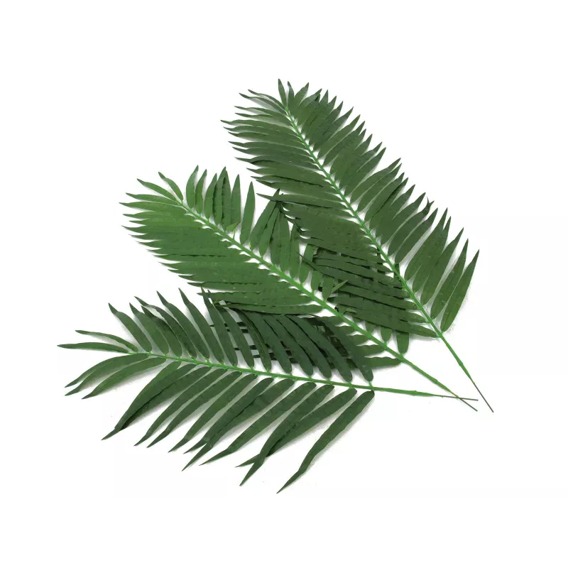 EUROPALMS φύλλα καρύδας, τεχνητά, 110cm, συσκευασία 12 τεμ. 82509897