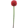 EUROPALMS τεχνητό στέλεχος allium, κόκκινο, 55cm 82530568
