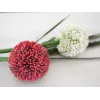 EUROPALMS τεχνητό στέλεχος allium, κόκκινο, 55cm 82530568