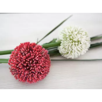 EUROPALMS τεχνητό στέλεχος allium, κόκκινο, 55cm 82530568