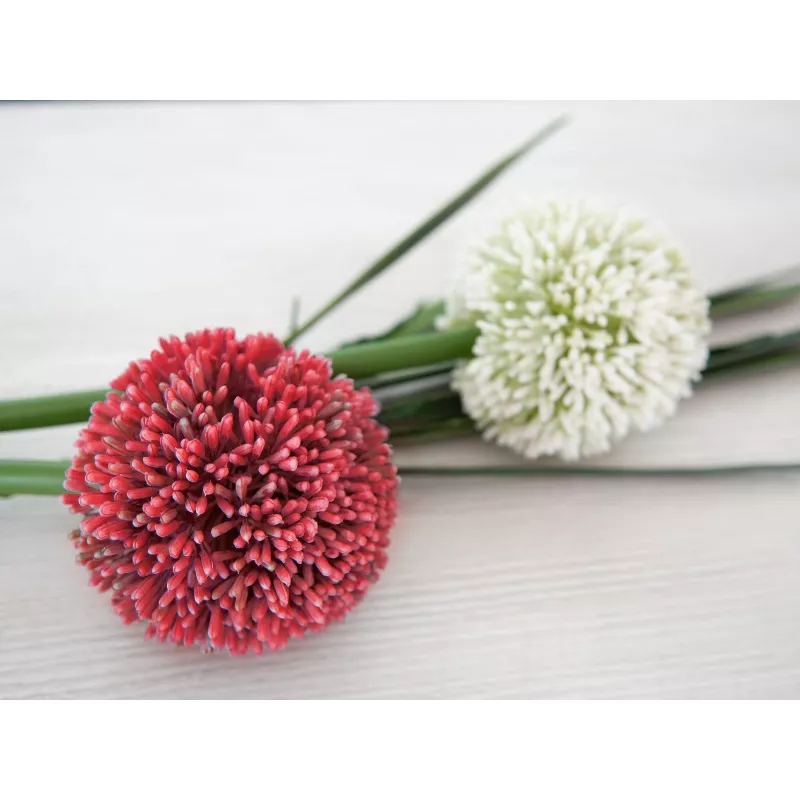 EUROPALMS τεχνητό στέλεχος allium, κόκκινο, 55cm 82530568