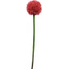 EUROPALMS τεχνητό στέλεχος allium, κόκκινο, 55cm 82530568