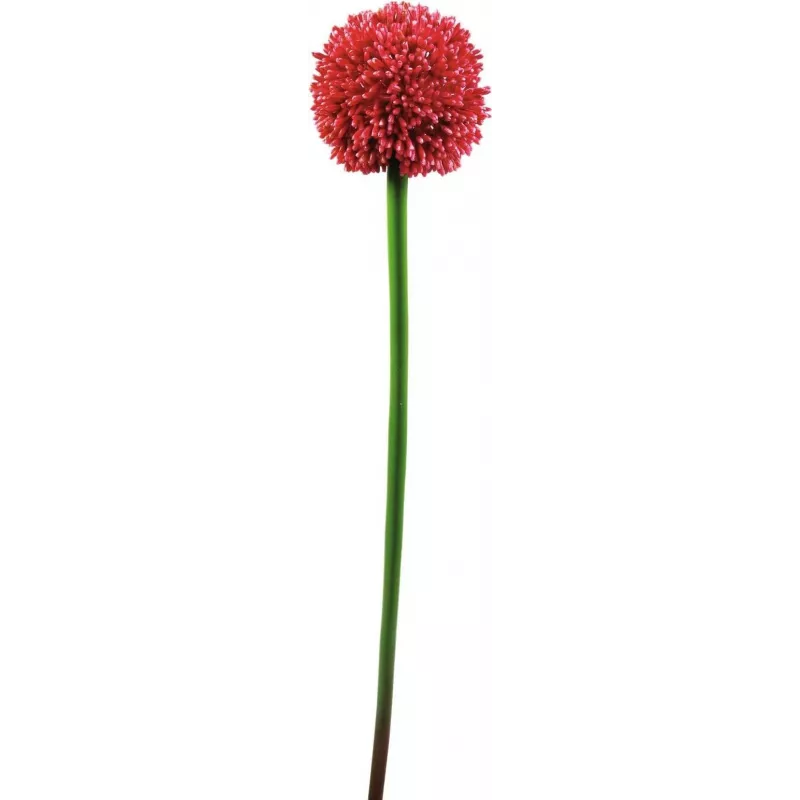 EUROPALMS τεχνητό στέλεχος allium, κόκκινο, 55cm 82530568