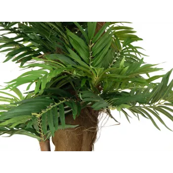 EUROPALMS Τεχνητό φυτό Areca-Palme, 140cm 82509407