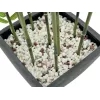 EUROPALMS Τεχνητό μπαμπού σε διακοσμητικό δοχείο, 120cm 82509261
