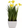 EUROPALMS Τεχνητός νάρκισσος, 23 cm 82530542