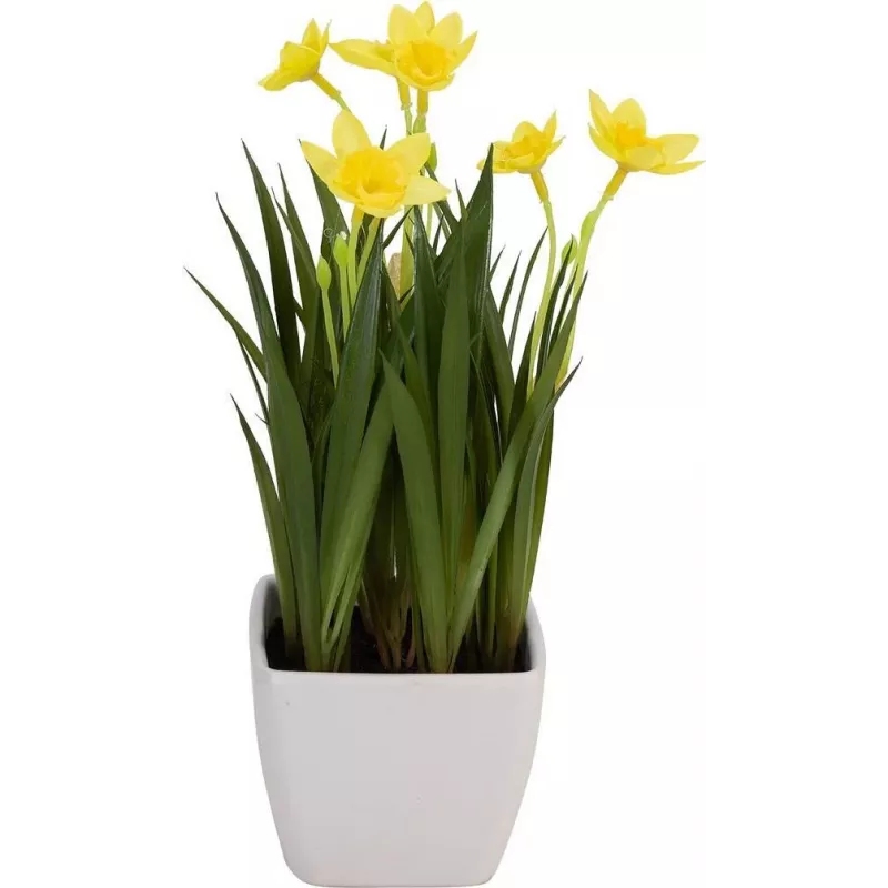 EUROPALMS Τεχνητός νάρκισσος, 23 cm 82530542
