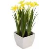 EUROPALMS Τεχνητός νάρκισσος, 23 cm 82530542