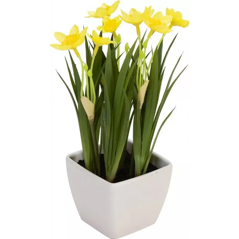 EUROPALMS Τεχνητός νάρκισσος, 23 cm 82530542