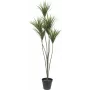EUROPALMS Τεχνητό φυτό Yucca-Palme, 130cm 82511552