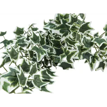 EUROPALMS Holland Ivy Bush Screen Classic, τεχνητό, 70cm 82502211