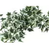 EUROPALMS Holland Ivy Bush Screen Classic, τεχνητό, 70cm 82502211