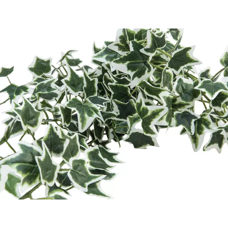 EUROPALMS Holland Ivy Bush Screen Classic, τεχνητό, 70cm 82502211